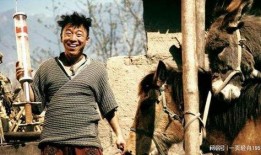 黄渤最近爆料新闻,揭秘娱乐圈不为人知的幕后故事